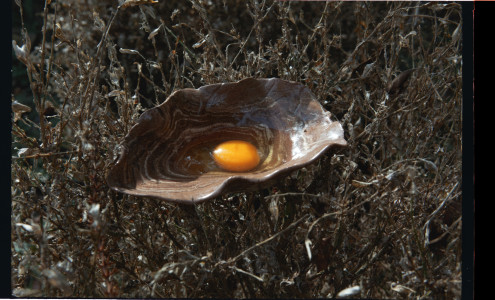 03_02bweb-4534b3597e446c43e1c59ceb5e401ab0